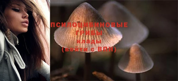хмурый Балабаново