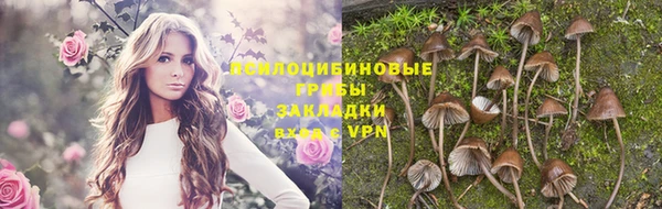хмурый Балабаново