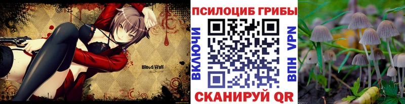 Галлюциногенные грибы Psilocybine cubensis blacksprut онион Гурьевск цена
