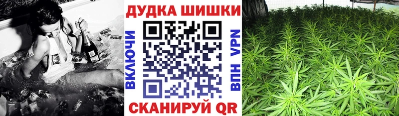 Канабис гибрид  Гурьевск 